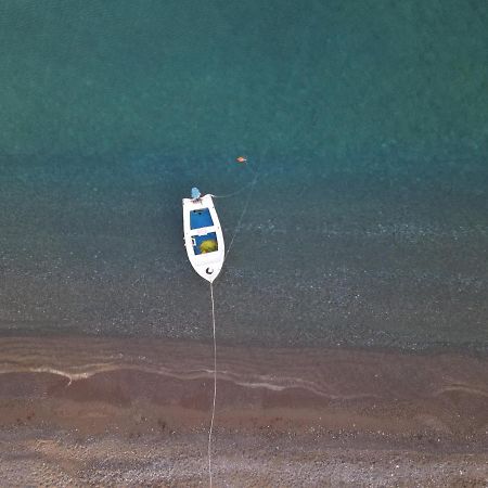 Seashore Beachfront Villa Λαχανιά Εξωτερικό φωτογραφία